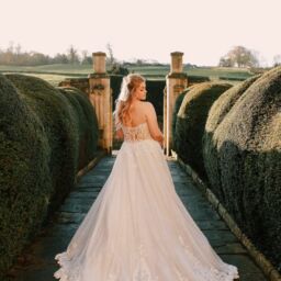 Disney Fairytale Weddings: D293L – Elevated Cinderella