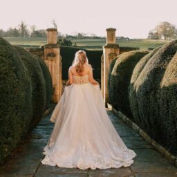 Disney Fairytale Weddings: D293L – Elevated Cinderella