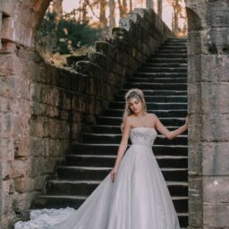 Disney Fairytale Weddings: D293L – Elevated Cinderella