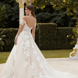 Sophia Tolli: Y12235