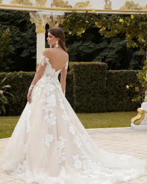 Sophia Tolli: Y12235