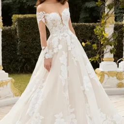 Sophia Tolli: Y12235