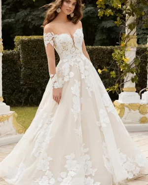 Sophia Tolli: Y12235