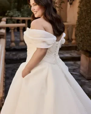 Sophia Tolli: Y3145FILB