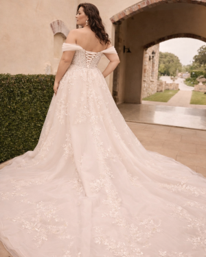 Sophia tolli: Y3168