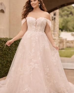 Sophia tolli: Y3168